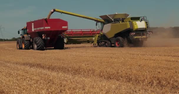 Sobrecarga de la cosechadora de grano en el tanque de grano del remolque tractor. Prores, cámara lenta — Vídeos de Stock