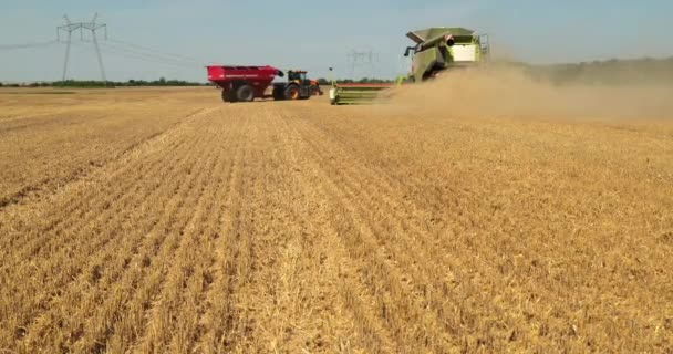 Harvester in het veld tijdens de oogst en voor hem gevaarlijke tractor ritten. ProRes, Slow Motion — Stockvideo