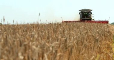 Hasat Makineleri Tarım Makineleri birleştirin. Tahıl Mahsulleri Hasat Makinesi. Prores, Yavaş Hareket