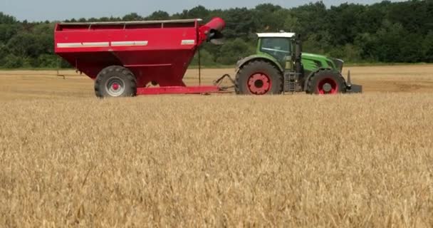 Une remorque de tracteur vert avec un réservoir de grain rouge chevauchant dans le champ. Prores, au ralenti — Video