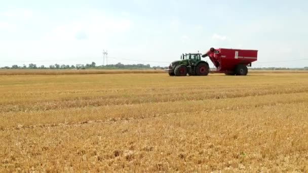 Tracteur vert avec une remorque rouge roule sur le terrain pendant la récolte. Au premier plan les oreilles de seigle mûr. La fin de l'été, c'est l'heure de la récolte. Ciel bleu en arrière-plan. Prores, au ralenti 