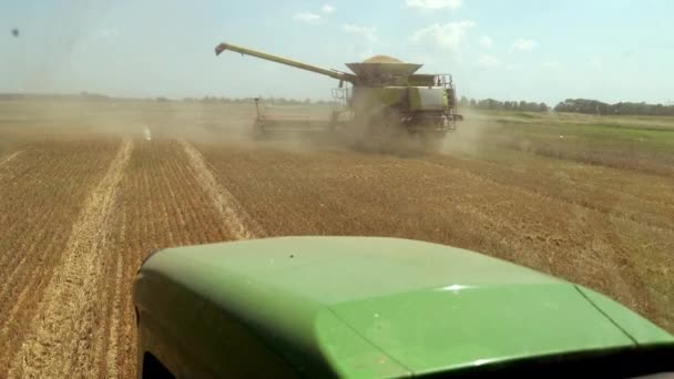 La cosechadora recoge la cosecha, el tractor va a la vista combinada desde la cabina del tractor. Calor de verano durante la cosecha. A distancia hay una pequeña cantidad de polvo del trigo. — Vídeo de stock