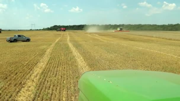 У передньому плані, частина зеленого трактора, яка йде до комбайна, щоб отримати зерно. Але горизонти поєднують збирання врожаю і трактори в трейлері несуть зерно жита і пшениці. Просимо, повільніше — стокове відео
