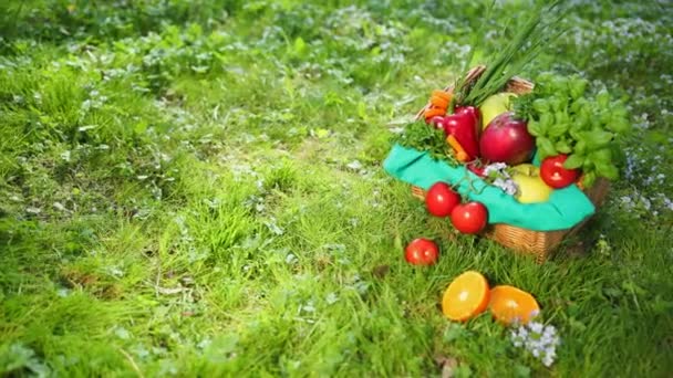 Овощи и фрукты лежат в корзине и на траве . — стоковое видео