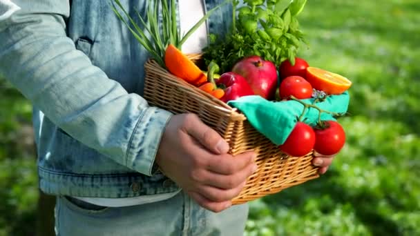 Portrait d'un jeune agriculteur heureux tenant des légumes frais dans un panier. Sur un fond de nature Le concept de produits biologiques, bio, bio écologie, cultivé par ses propres mains, végétariens, salades saines — Video