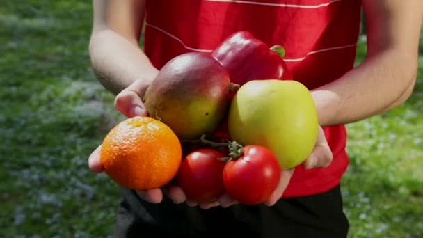 Erkek elleri kameraya olgun sebze ve meyve uzatmak. Sağlıklı bir yaşam tarzı kavramı. Doğal Sebze ve Meyveler. Parkta yaz güneşli hava. Çevre dostu hasat Prores, Yavaş — Stok video