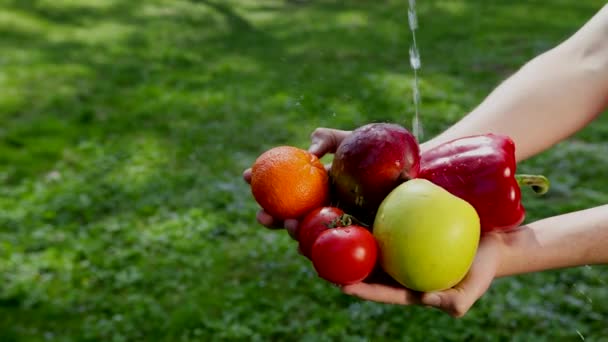 손은 야채와 과일을 잡고 물을 그 위에 부어, 위생 소비를위해 야채와 과일을 촉촉하게 정화. 프로레스, 슬로우 모션 — 비디오