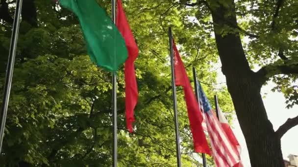 The camera flies around the flags of different countries. Unity of states. — Stock Video