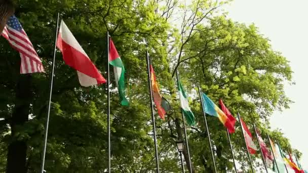 Flags of different countries of the world are wave winding, the symbols of statehood are on high fragments — Stock Video