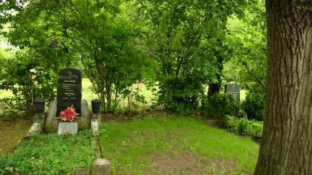 Antiguo cementerio con varios monumentos, tumbas familiares, bancos, árboles en Europa . — Vídeos de Stock