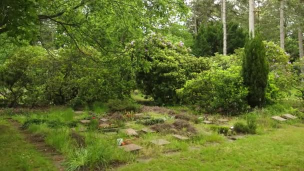 Alter Friedhof mit verschiedenen Denkmälern, Familiengräbern, Bänken, Bäumen in Europa. — Stockvideo