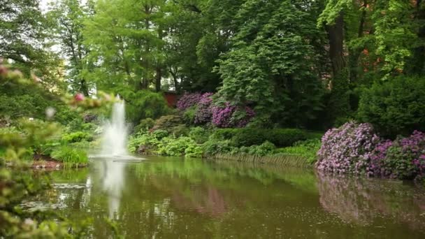 Prachtige tropische planten, struiken, bomen, bloemen groeien in de botanische tuin — Stockvideo