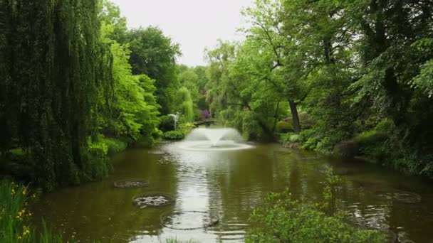 Un hermoso panorama de flores, árboles y arbustos en el jardín botánico — Vídeos de Stock