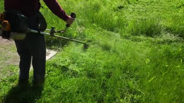 Man is een tuinman, snijdt een hoog groen gras, een benzine maaier, op een zonnige dag — Stockvideo