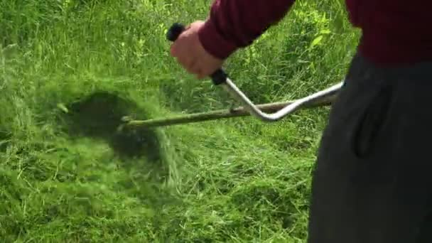 Man is een tuinman, snijdt een hoog groen gras, een benzine maaier, op een zonnige dag — Stockvideo