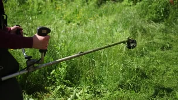 Man arbetande bensin gräsklippare, växter som flyger långsamt i olika riktningar — Stockvideo