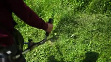 kişi bir bahçıvandır, güneşli bir günde yüksek yeşil çim, benzin biçme makinesi keser