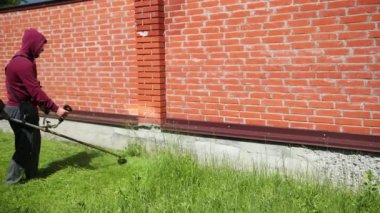 güvenlik gözlükleri adam, yüksek tuğla çit boyunca, yüksek çim benzin biçme makinesi çimlerini biçiyor