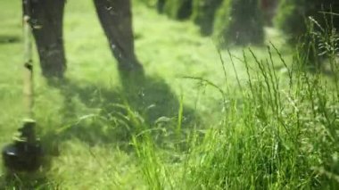 kişi çimlerini biçiyor yüksek çim benzin çim biçme makinesi, bitkiler farklı yönlere uçmak