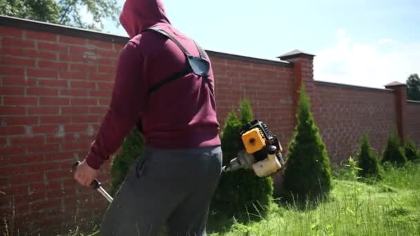 Homem corta grama verde cortador de gasolina, ao longo de uma cerca de tijolo alto, perto thuja — Vídeo de Stock