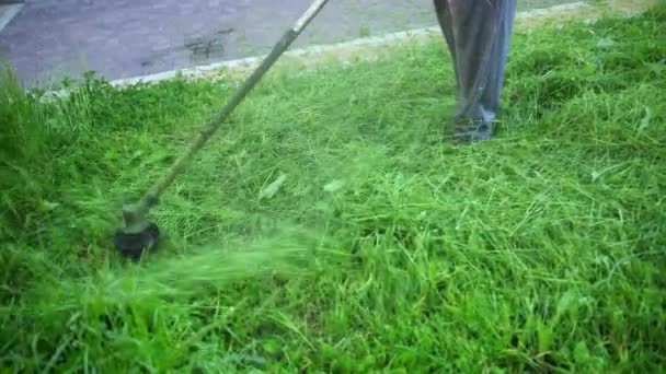 Adam uzun boylu yeşil çimen, benzin çim biçme makinesi, gün, çim yan uçan çimlerini biçiyor — Stok video