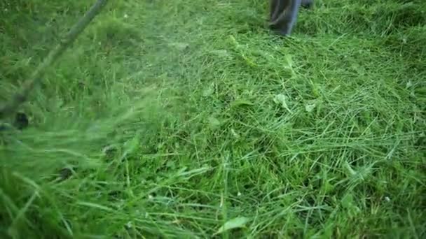 男性の芝は背の高い緑の草、ガソリン芝刈り機、日、側面に飛んで草 — ストック動画
