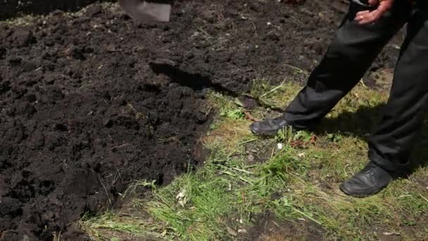 Homem agricultor, pá, cavar um jardim, dissecar o chão, em um dia ensolarado — Vídeo de Stock