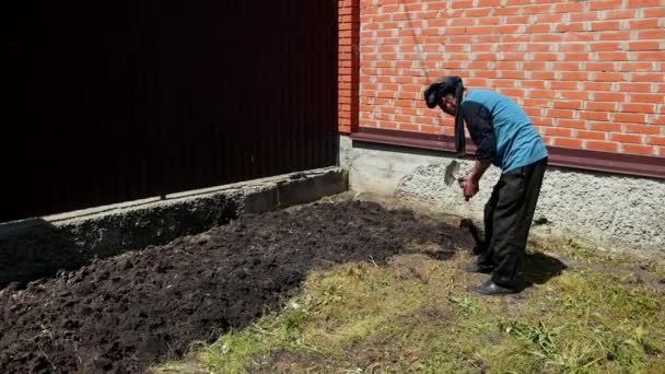 En äldre man, med en trasa på huvudet, gräva med en spade, i soligt väder — Stockvideo