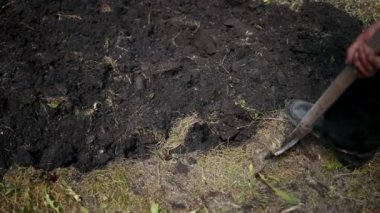 çiftçi adam kazma kürek, Bahçe, sebze bahçesi, diseksiyon arazi, güneşli gün