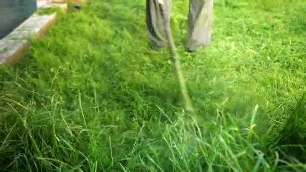 Kişi çimlerini biçiyor yüksek çim benzin çim biçme makinesi, bitkiler farklı yönlere uçmak — Stok video