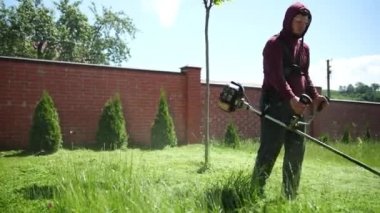 kişi bir bahçıvandır, güneşli bir günde yüksek yeşil çim, benzin biçme makinesi keser