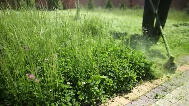 Садовник, косит высокую зеленую траву, газонокосилку, вдоль бордюра, солнечную погоду — стоковое видео