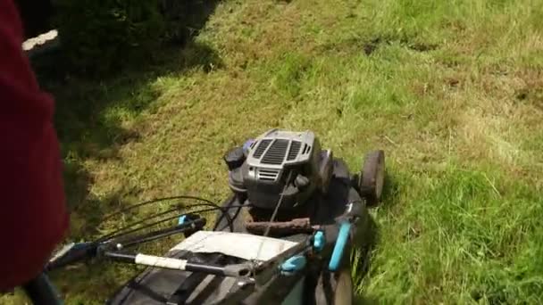 Man is een tuinman, snijdt een hoog groen gras, een benzine maaier, op een zonnige dag — Stockvideo