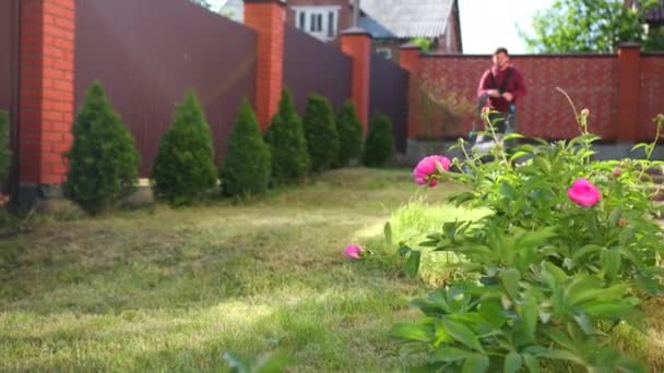 Genç adam bir çim biçme makinesi ile çim çimlerini biçiyor, yüksek bir çit boyunca, çiçekler yakın — Stok video