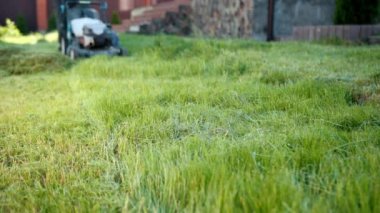 adam bahçıvan, yeşil çim biçme, çim biçme makinesi, güneşli bir günde, alt katta kamera