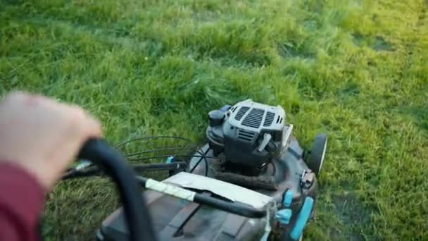 Kişi bahçıvan, biçme yeşil çim biçme makinesi, Güneşli gün, yakın çekim — Stok video