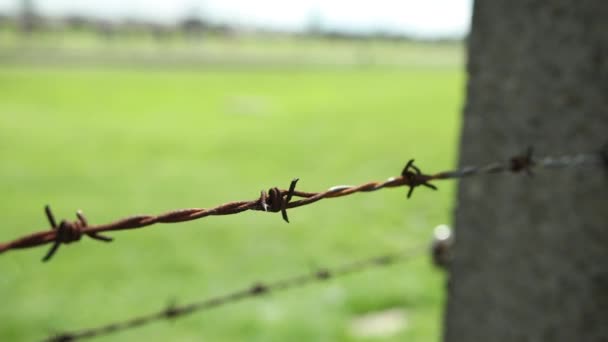 Cablaggio ruggine spinato di una recinzione elettrica per impedire la fuga — Video Stock