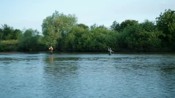 Pêche, deux hommes pêchant sur la rivière, debout dans l'eau, un petit courant — Video