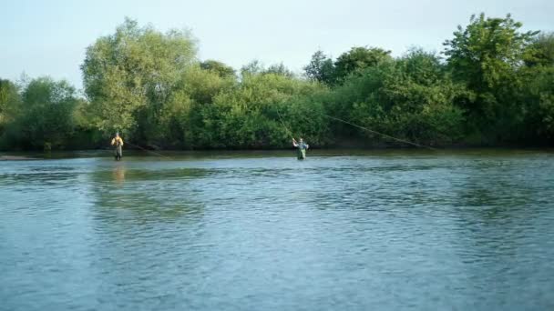 Під кутом, два чоловіки рибалять на річці, стоячи у воді, невелика течія — стокове відео