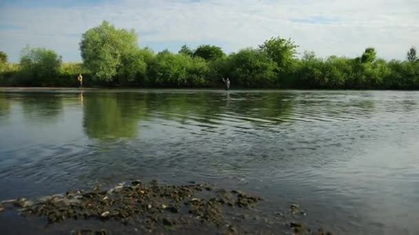 Під кутом, два чоловіки рибалять на річці, стоячи у воді, невелика течія — стокове відео