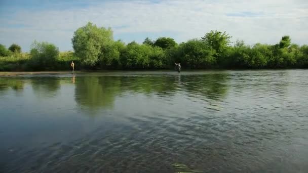 Pêche, deux hommes pêchant sur la rivière, debout dans l'eau, un petit courant — Video