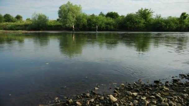 Під кутом, два чоловіки рибалять на річці, стоячи у воді, невелика течія — стокове відео