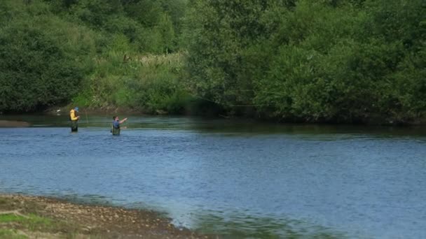 Під кутом, два чоловіки рибалять на річці, стоячи у воді, невелика течія — стокове відео