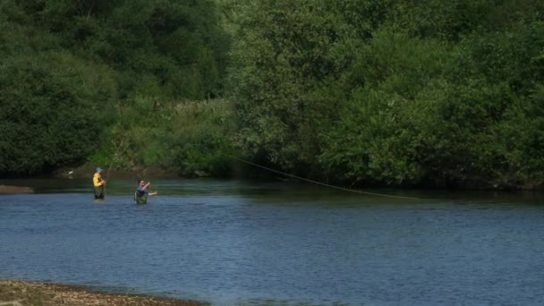 Pêche, deux hommes pêchant sur la rivière, debout dans l'eau, un petit courant — Video