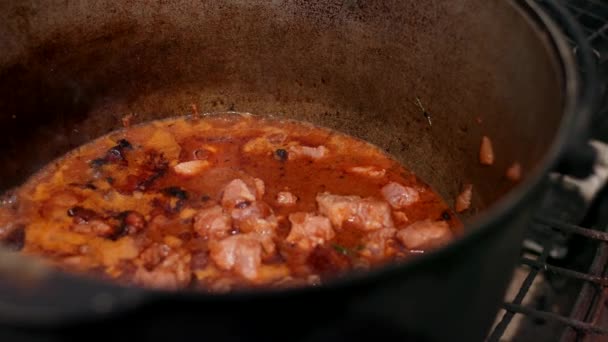 In grande pentola di ghisa preparare piatto, rosso con cipolle di carne e altri componenti — Video Stock