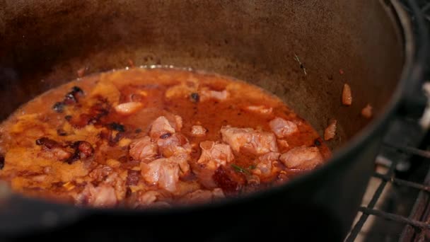 I stor gjutjärn potten förbereder skålen, röd med kött lök och andra komponenter — Stockvideo