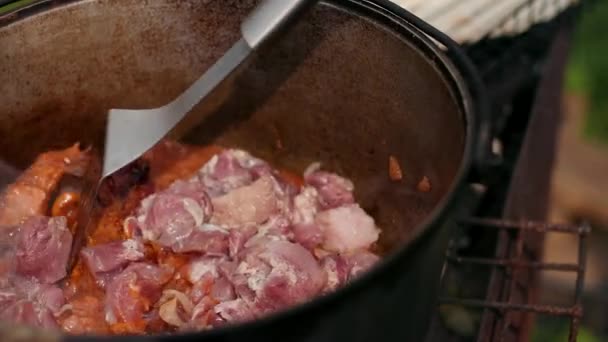 Em panela de ferro fundido grande preparando prato, vermelho com cebola de carne e outros componentes — Vídeo de Stock