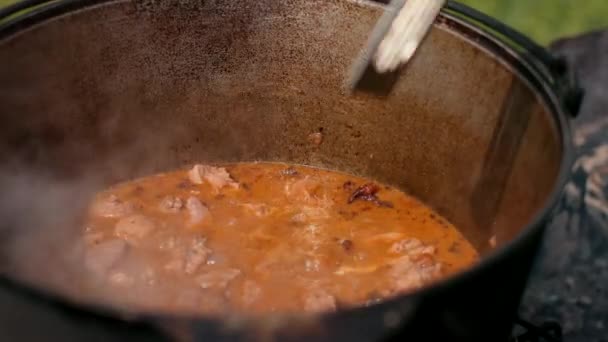 Dans une grande casserole en fonte préparant le plat, rouge avec des oignons de viande et d'autres composants — Video