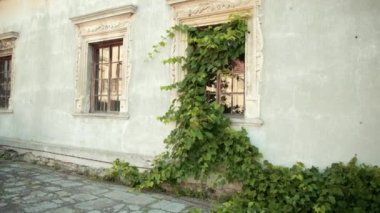 hırpalanmış duvarları ile avlu hangi ahşap Pencereler, büyüyen büyük yeşil Bush