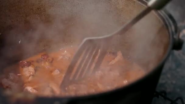 У великому чавунному горщику для приготування страви, червоний з м'ясною цибулею та іншими компонентами — стокове відео